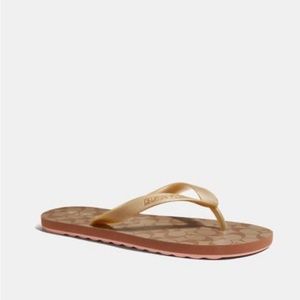 Coach Zak Flip Flop Slides KHAKI/GOLD Women 9-10